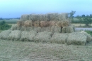 predaj sena ,lucerky,slamy a ine